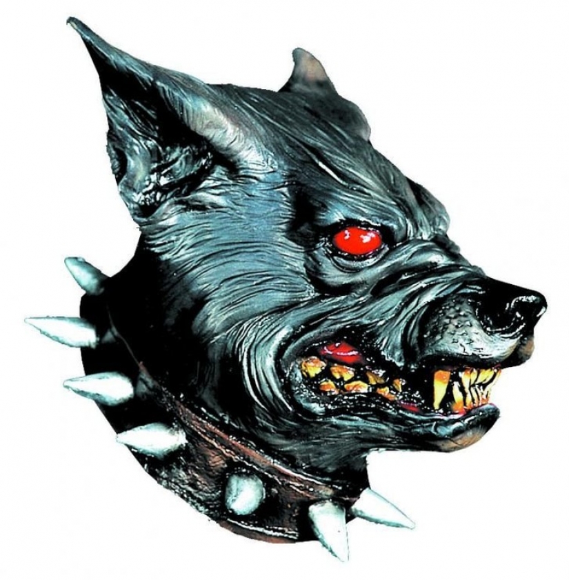 13 los tipos más comunes de los vecinos que nos impiden vivir