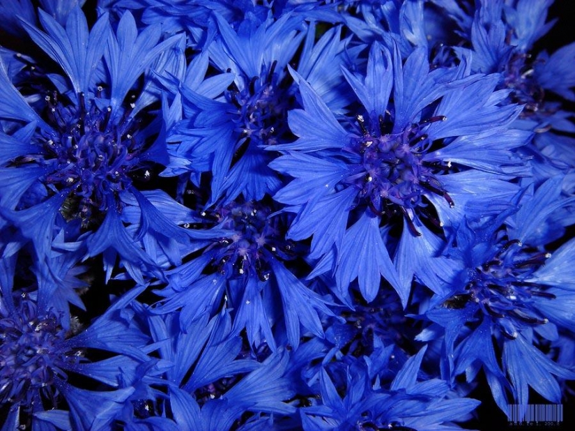 14 consejos sobre cómo ser más feliz