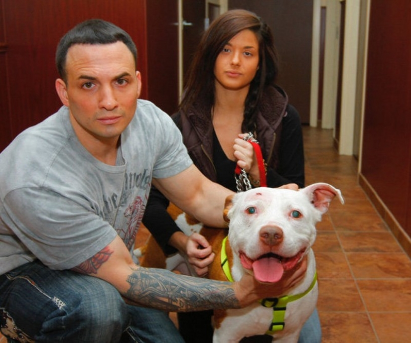 15 amazing stories about animal heroes that saved people from death 15 amazing stories about animal heroes that saved people from death