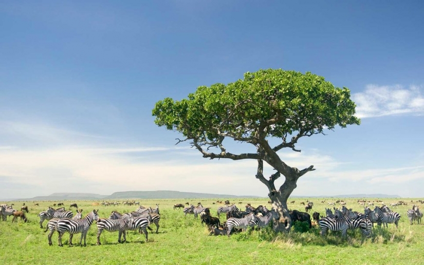 15 countries with the most beautiful nature 15 countries with the most beautiful nature