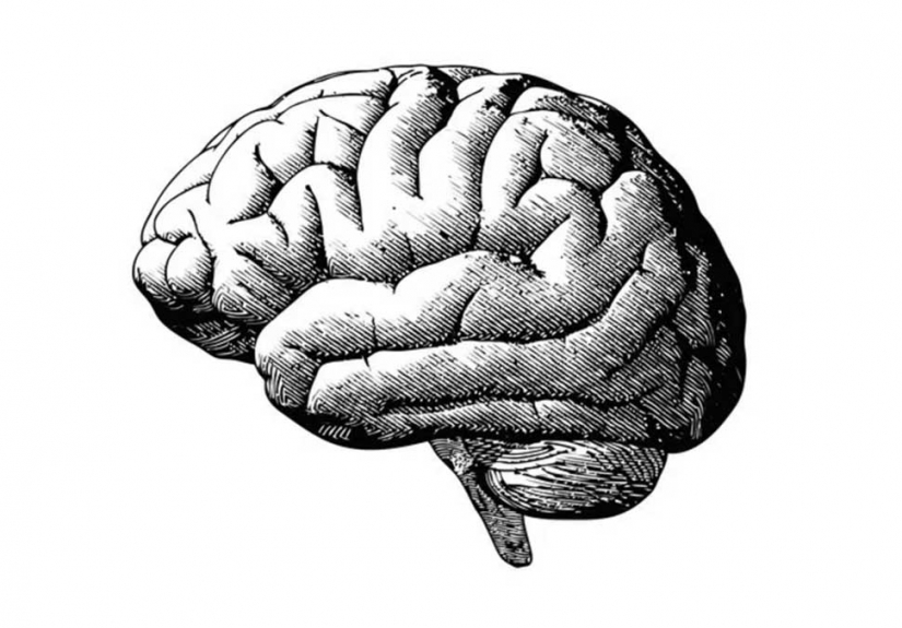 15 datos interesantes que harán que te pregunto en voz alta no imprimible 15 datos interesantes que harán que te pregunto en voz alta no imprimible