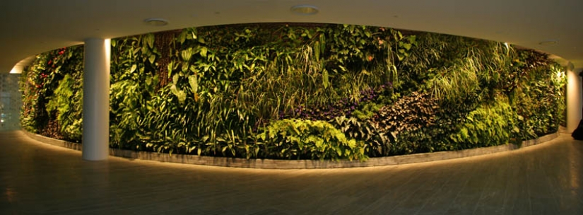 15 de jardines verticales en todo el mundo 15 de jardines verticales en todo el mundo