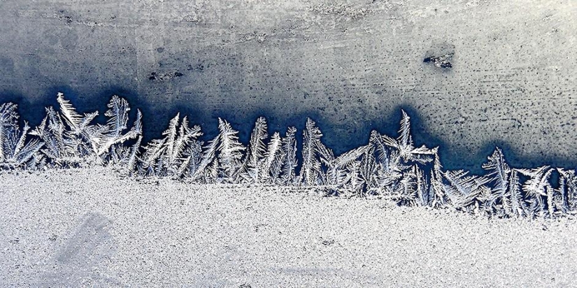 15 ecológico formas para utilizar los posos del café