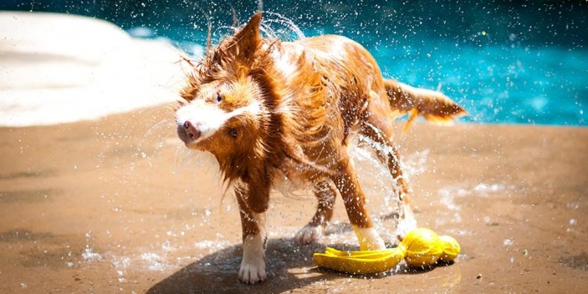 15 environmentally friendly ways to use coffee grounds 15 environmentally friendly ways to use coffee grounds