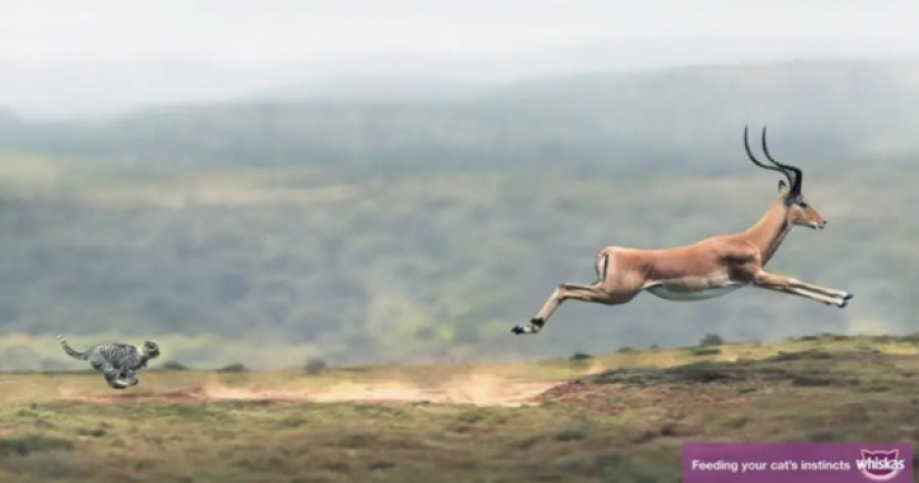 15 examples of how ads can be really cool