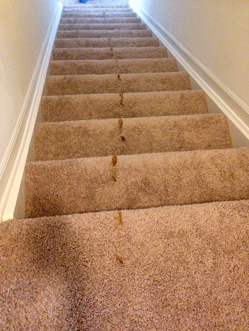 15 honest photos about how kids go crazy in quarantine