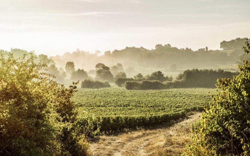15 países con la naturaleza más bella 15 países con la naturaleza más bella