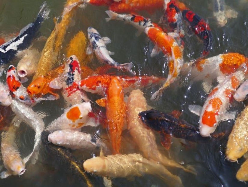 15 personas que querían tomar una foto normal, pero en cambio obtuvieron una verdadera obra maestra 15 personas que querían tomar una foto normal, pero en cambio obtuvieron una verdadera obra maestra