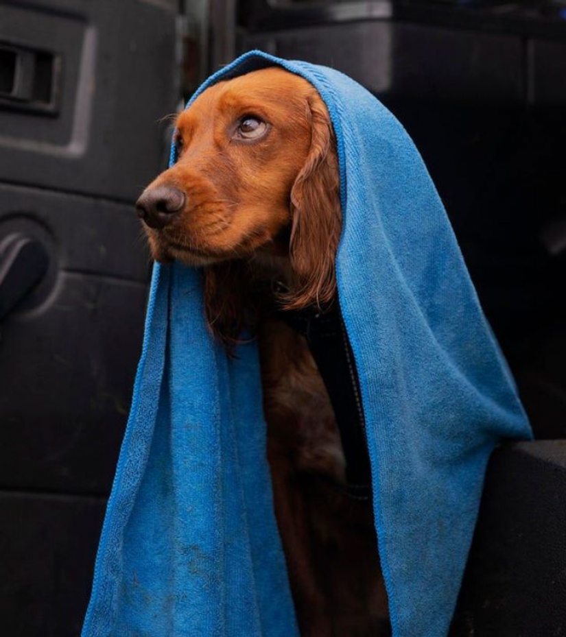 15 personas que querían tomar una foto normal, pero en cambio obtuvieron una verdadera obra maestra 15 personas que querían tomar una foto normal, pero en cambio obtuvieron una verdadera obra maestra