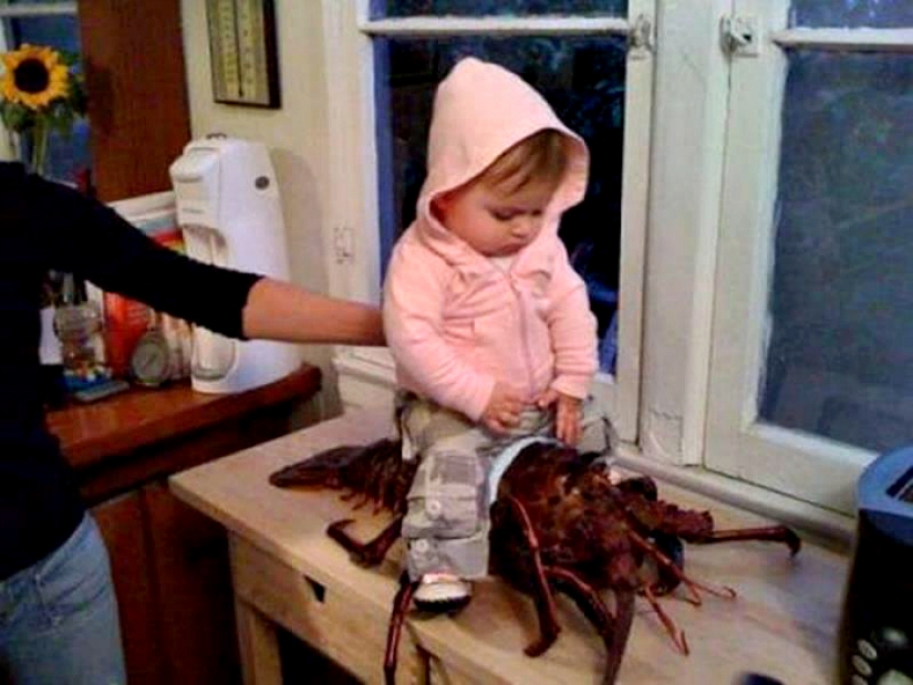 15 photos that prove the best the source of the positive — children 15 photos that prove the best the source of the positive — children