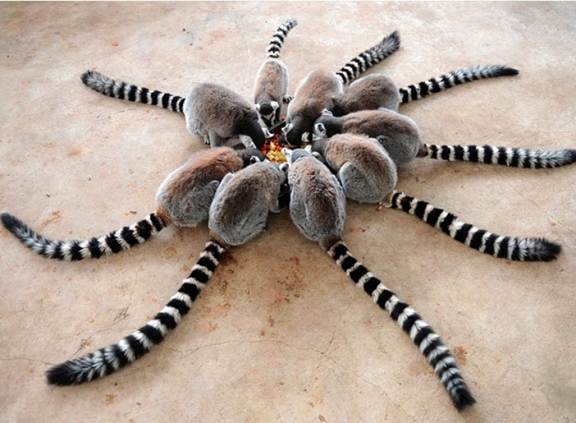 15 sorprendentes hechos sobre las bestias que hacen caso omiso de los científicos