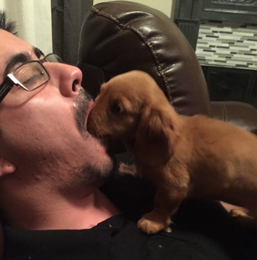 15 sorprendentes hechos sobre las bestias que hacen caso omiso de los científicos