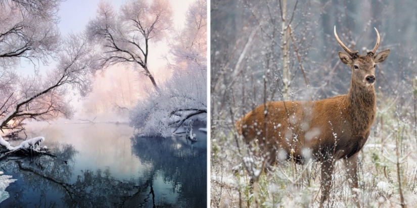 15 stunningly beautiful countries that do not need a visa