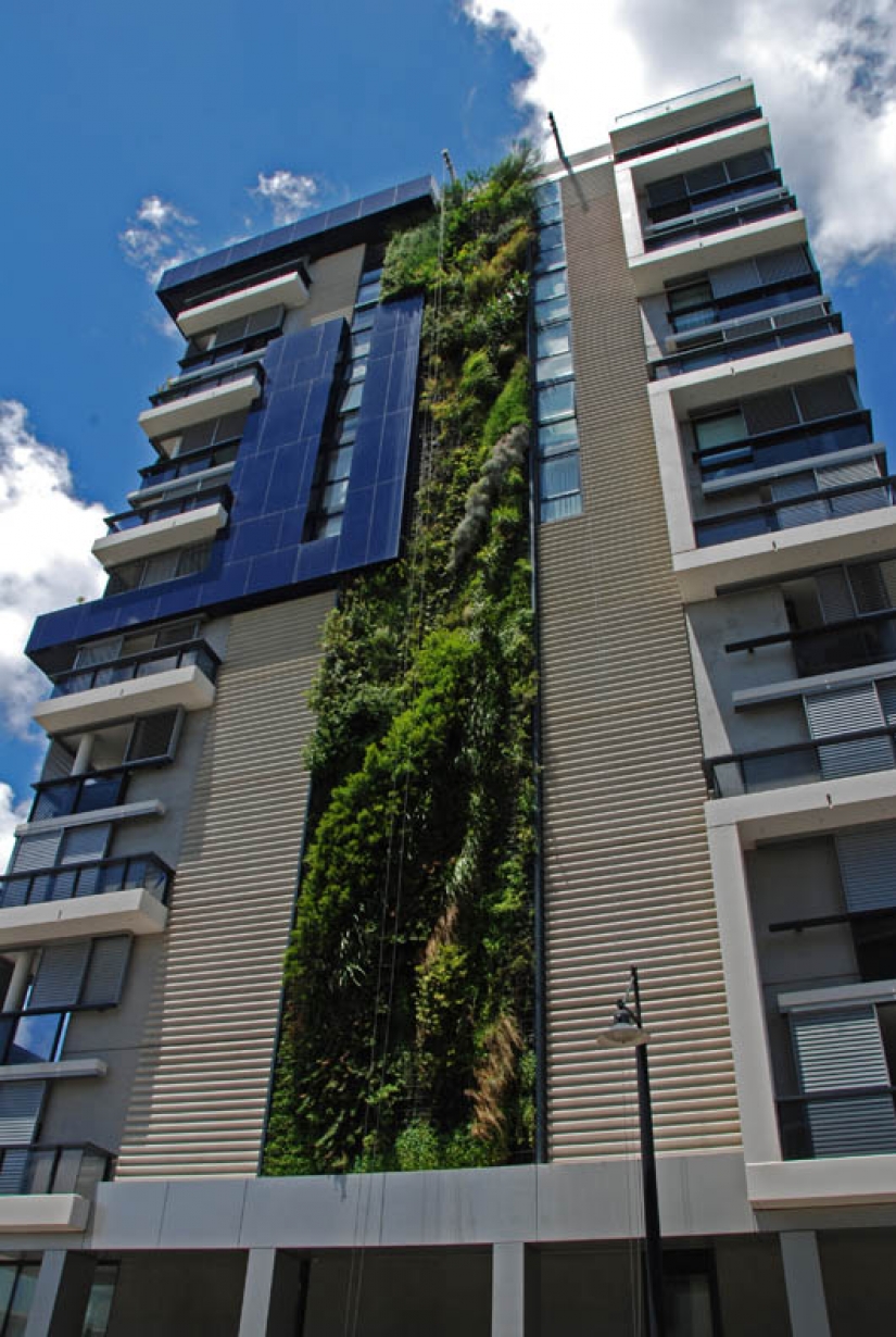 15 vertical gardens around the world