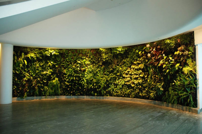 15 vertical gardens around the world