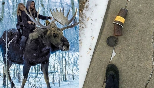 16 things you'll only see in Canada 16 things you'll only see in Canada
