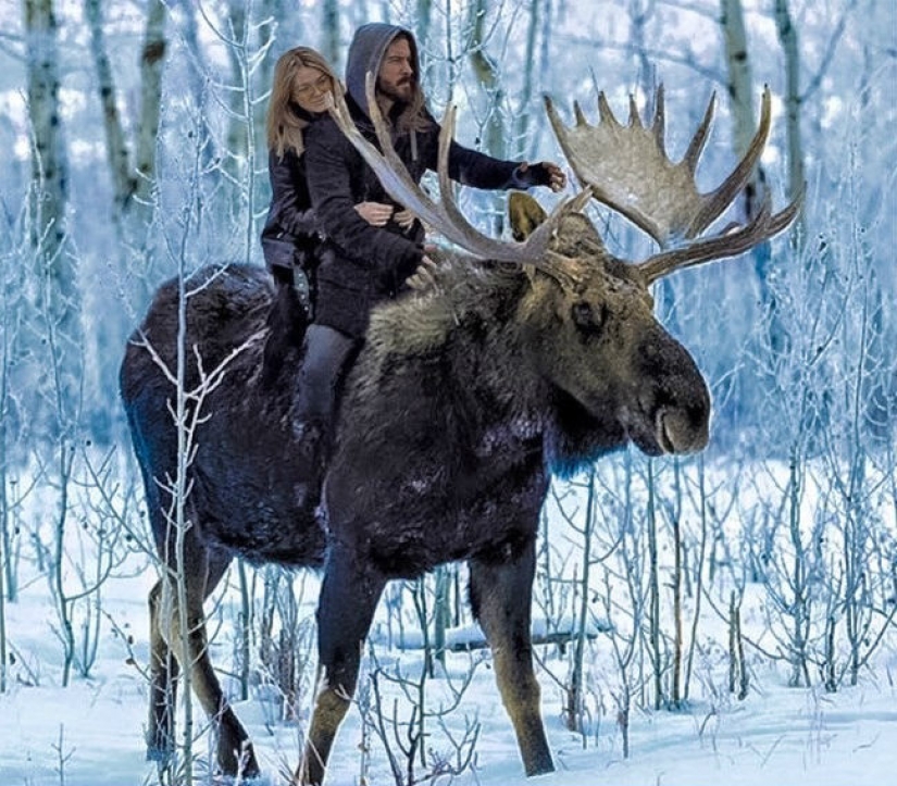 16 things you'll only see in Canada