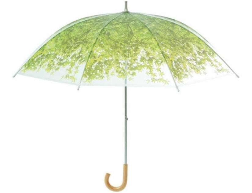 17 amazing umbrellas, which transcend autumn rains