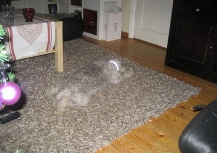 17 examples of bad perspective