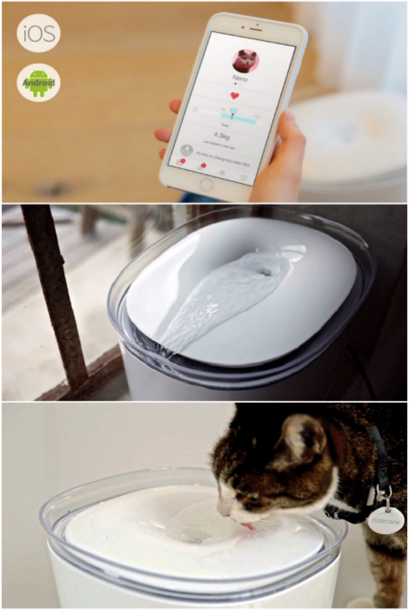 17 gadgets for the home that has a cat