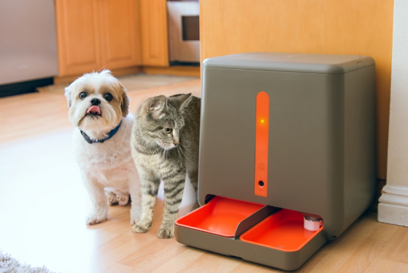 17 gadgets for the home that has a cat
