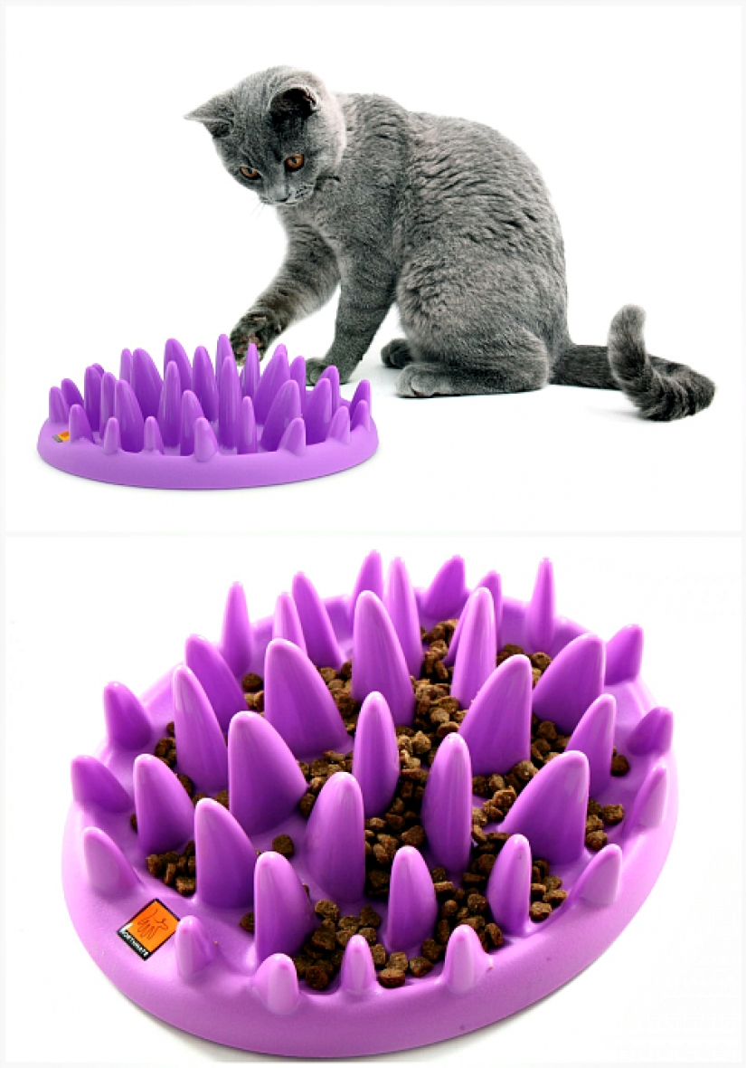17 gadgets for the home that has a cat