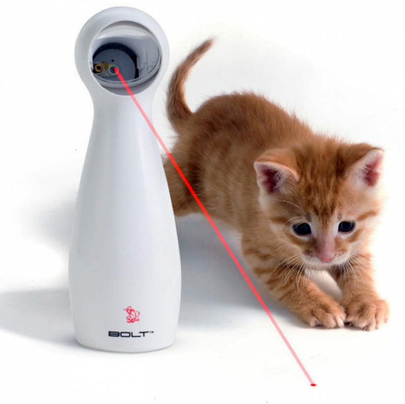 17 gadgets for the home that has a cat
