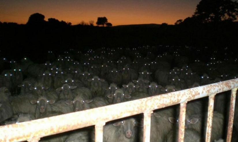 17 real shots that look like stills from horror films