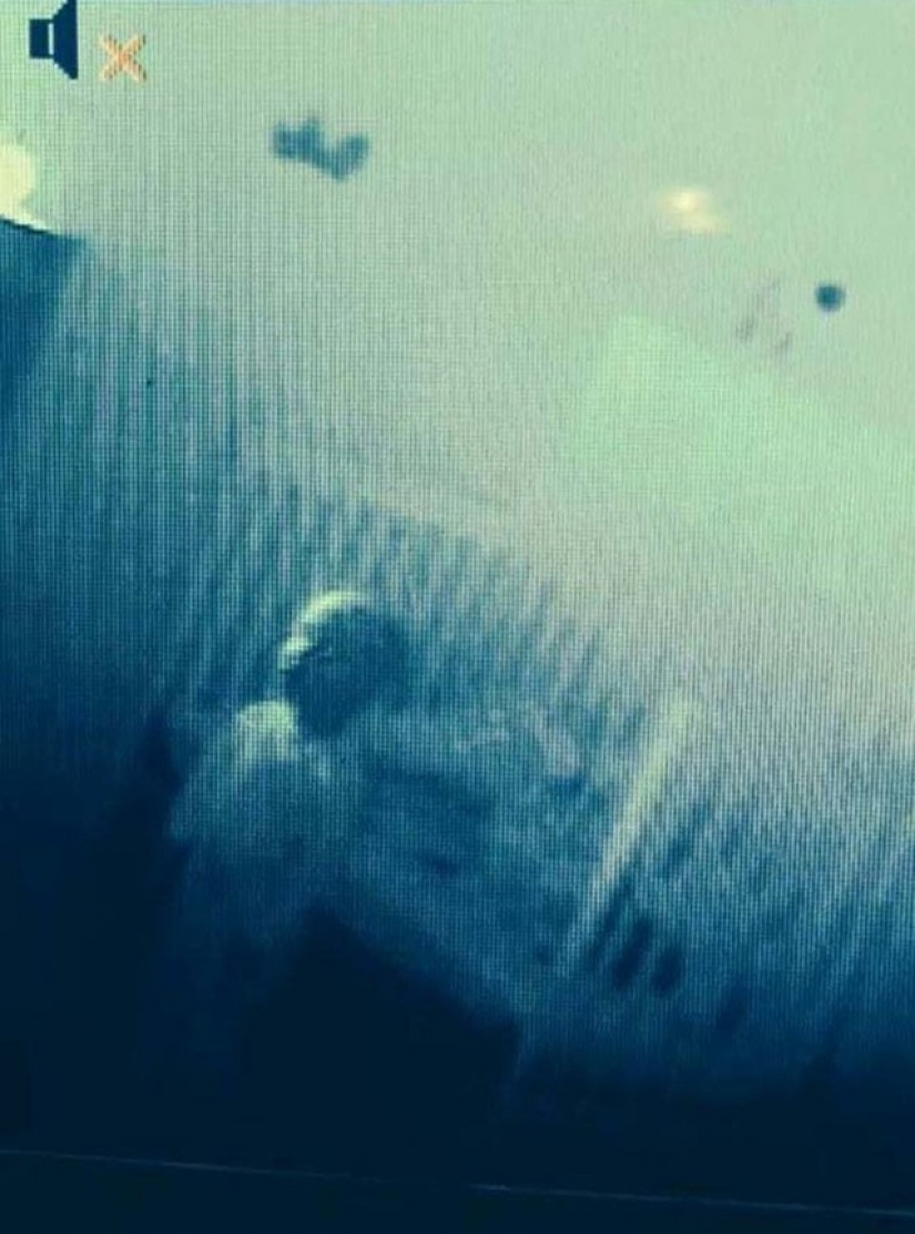 17 real shots that look like stills from horror films