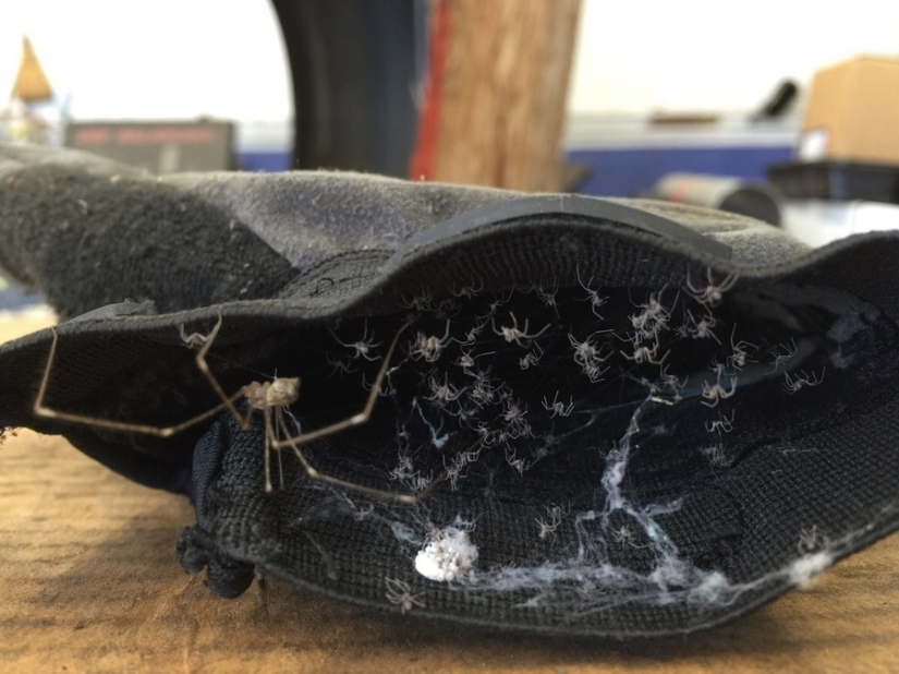 17 real shots that look like stills from horror films