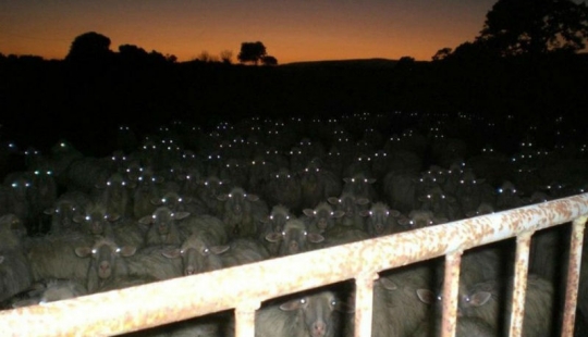 17 real tiros que parecen fotogramas de películas de terror 17 real tiros que parecen fotogramas de películas de terror