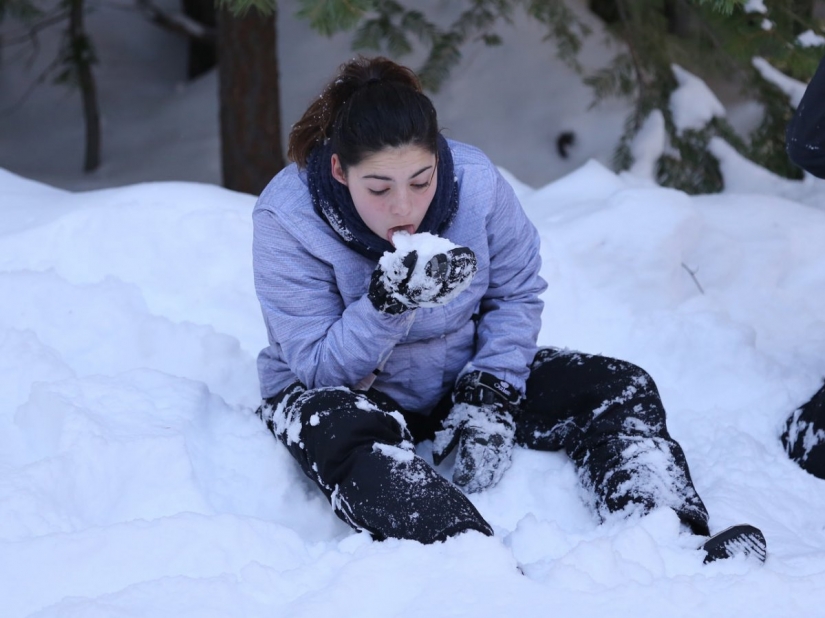 17 reglas que va a salvar su vida