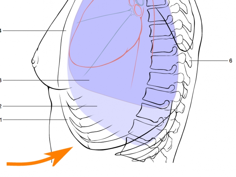 17 reglas que va a salvar su vida