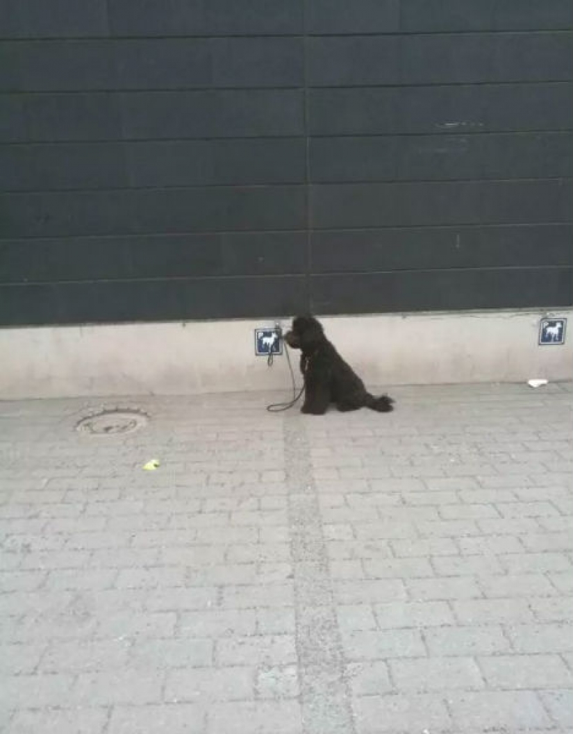 18 cool things in Finland, for which there can move