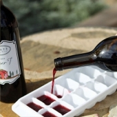 18 cool ways to use ice cube trays