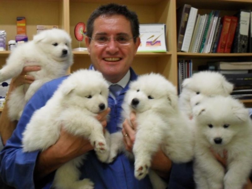 18 evidence that the veterinarian is sick profession 18 evidence that the veterinarian is sick profession