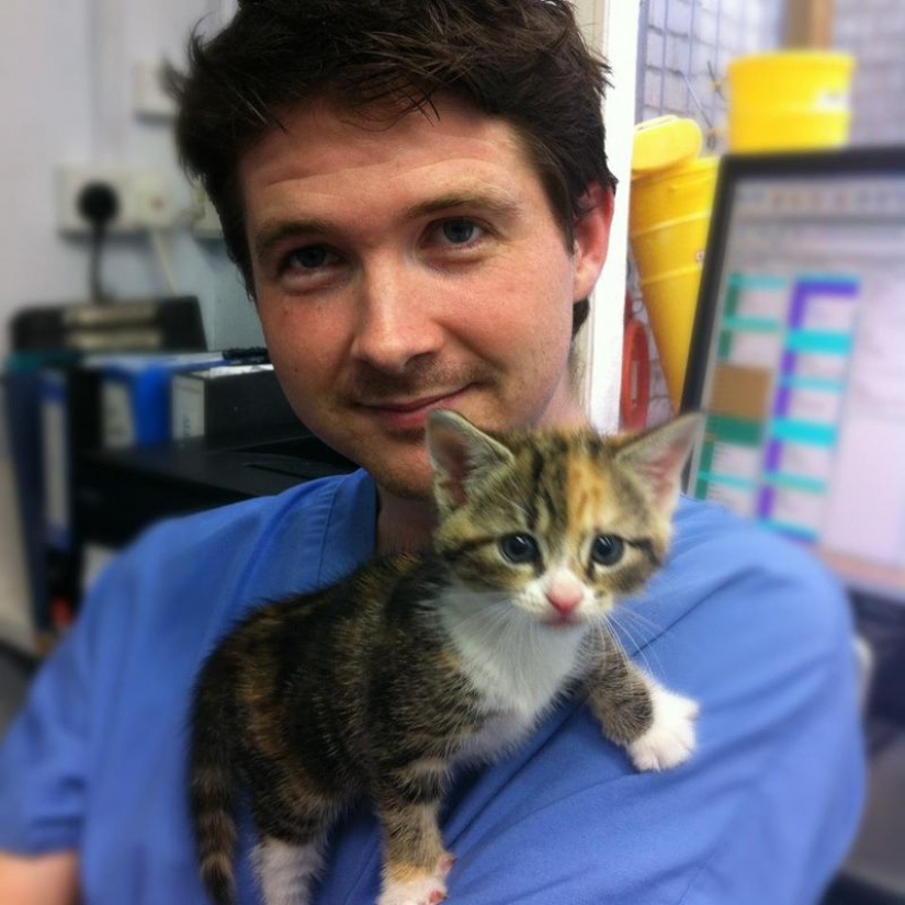 18 evidence that the veterinarian is sick profession 18 evidence that the veterinarian is sick profession