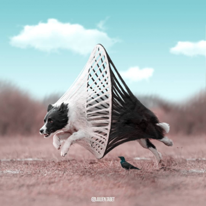 18 fantastic creatures French digital artist Julien Taba 18 fantastic creatures French digital artist Julien Taba