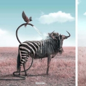 18 fantastic creatures French digital artist Julien Taba