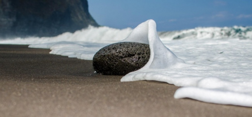 18 fotos tomadas en el momento justo