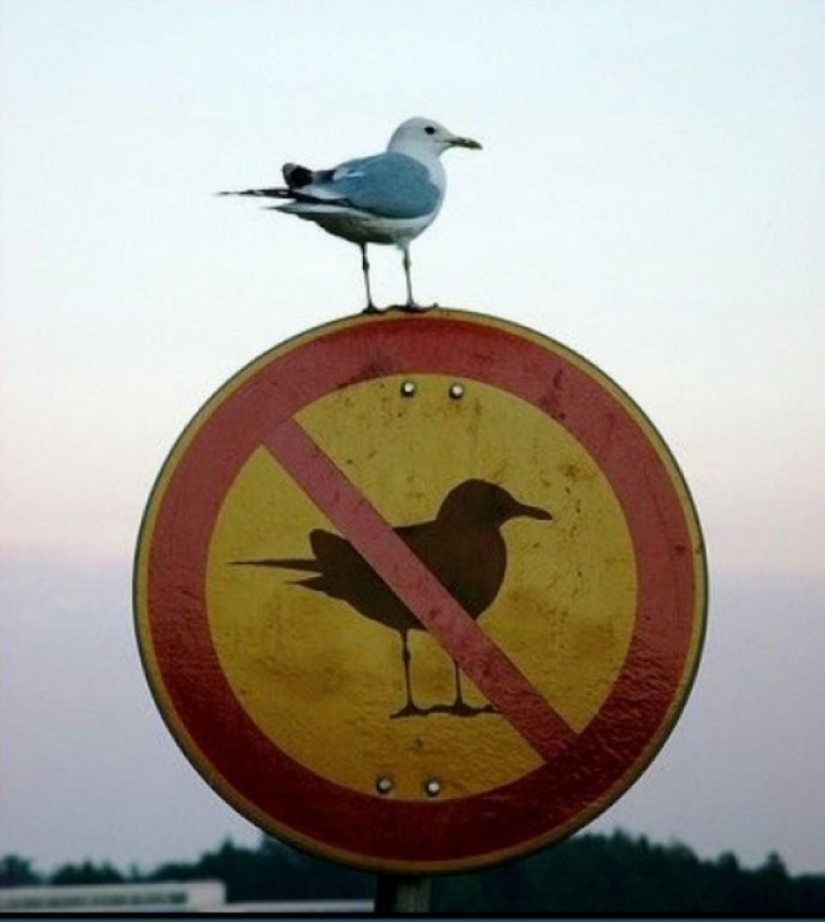 18 fotos tomadas en el momento justo