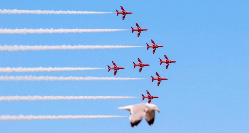 18 fotos tomadas en el momento justo