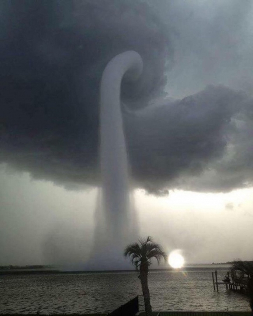 18 photos taken at just the right moment