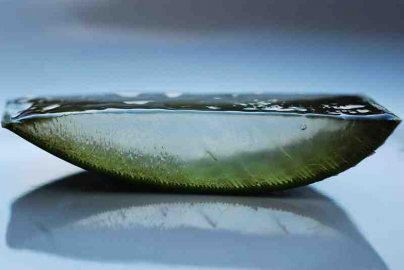 18 things cut in half