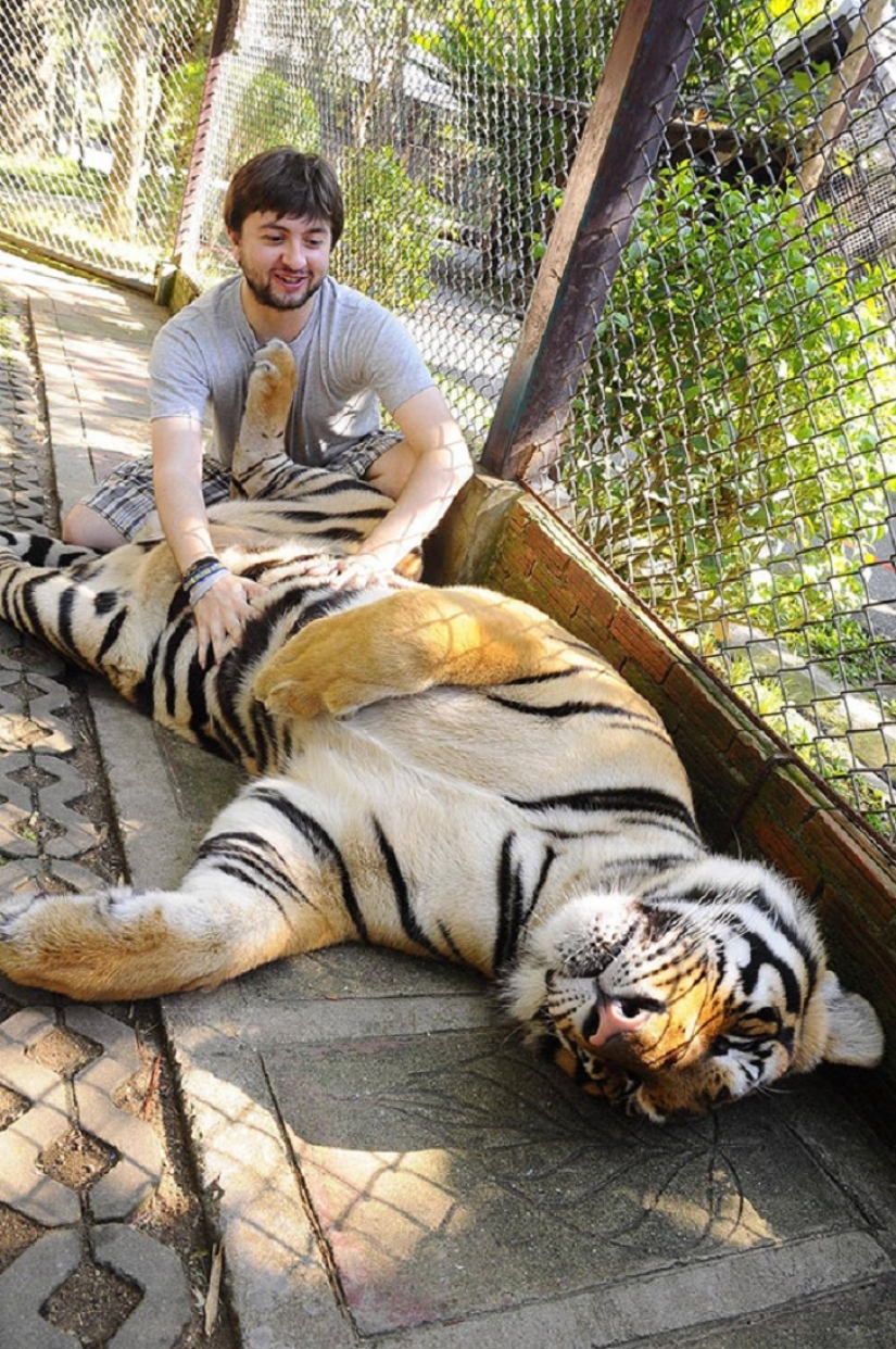 20 bellies that need to scratch