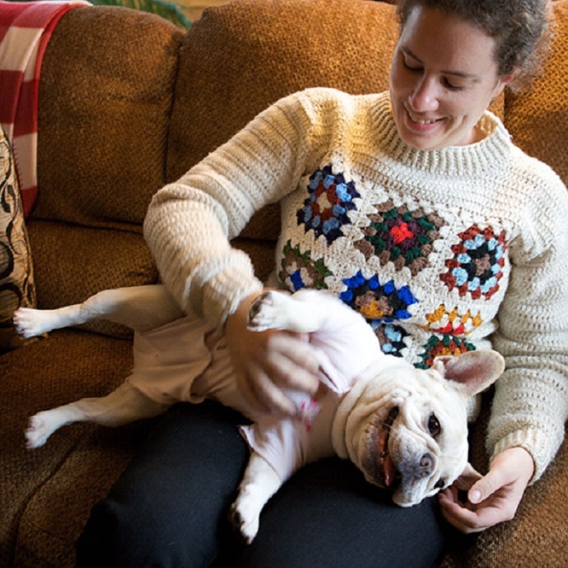 20 bellies that need to scratch