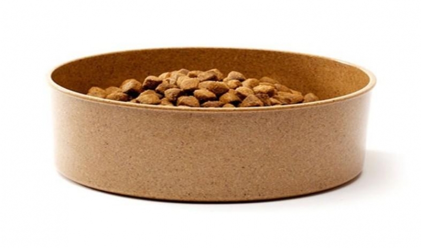 20 "clean" things that are actually dirtier than toilets