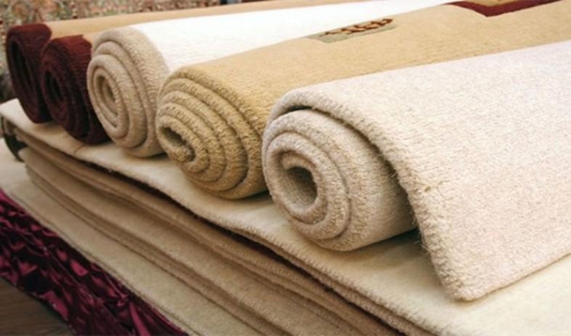 20 "clean" things that are actually dirtier than toilets