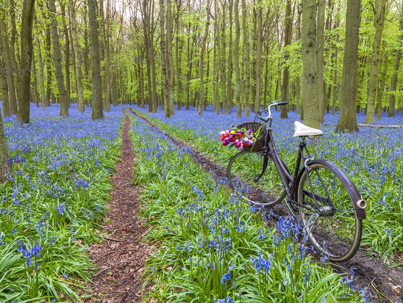 20 datos interesantes sobre el cuerpo que te hacen ver a la gente en nuevas formas