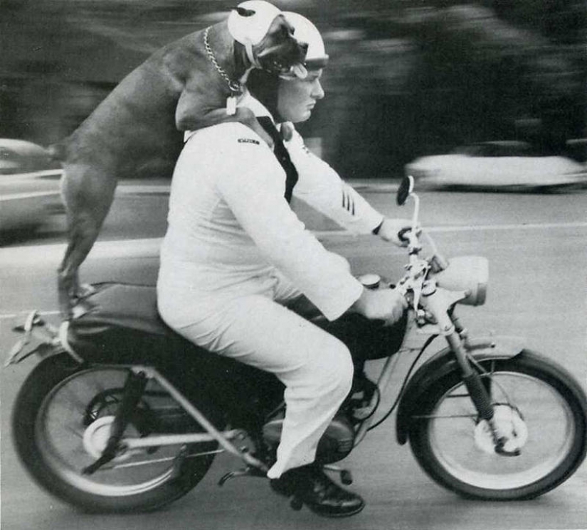 20 historical frames caught at the right moment 20 historical frames caught at the right moment